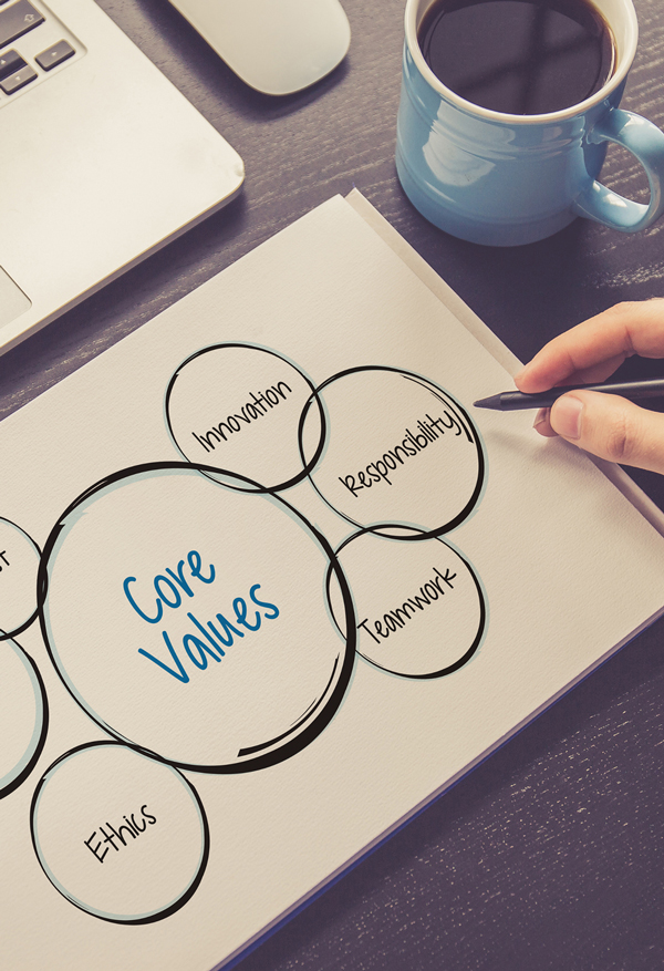 SANE Vet Management - Core Values Vision and Mission